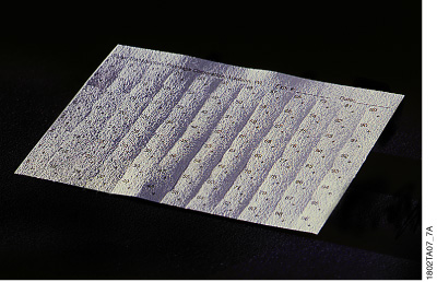 SAM2® Biotin Capture Membrane shown as a 7.6 × 10.9cm sheet (top) and in a 96-square format (bottom).