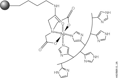 Schematic diagram of HisLink™ Resin and polyhistidine interaction.