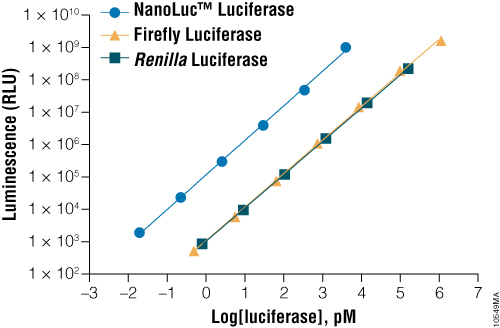 A comparison of the sensitivity of NanoLuc™, firefly and Renilla luciferase assays.
