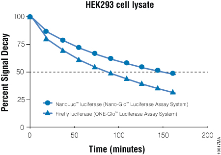 Signal decay kinetics for Nano-Glo™ Luciferase Assay Reagent.