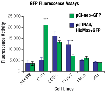 The levels of GFP expression for pCI-neo+GFP and pcDNA4/HisMax+GFP in different cell lines.