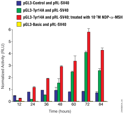 Induction of luciferase expression in B16-F1 cells.