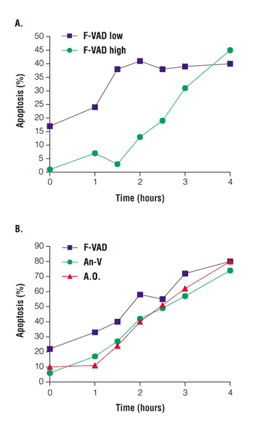 Time-course analysis of Fas-driven apoptosis in Jurkat T cells. 