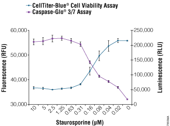 Multiplexing the CellTiter-Blue Cell Viability and Caspase-Glo 3/7 Assays. 