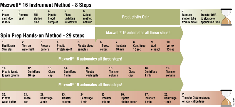 The Maxwell 16 System delivers measurable productivity by reducing hands-on time compared with a typical manual DNA extraction protocol.