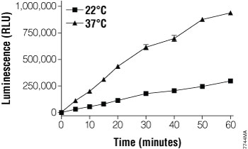 Time course of the CYP3A7 reaction with Luciferin-3A7.