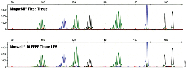 DNA purified from human FFPE tissue sections (5 micron) using MagneSil Fixed Tissue System (top) or Maxwell 16 FFPE Tissue LEV DNA Purification Kit (bottom).