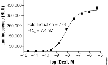 Dexamethasone titration of GloResponse 9XGAL4UAS-luc2P HEK293 cells transfected with pBIND-GR Vector.