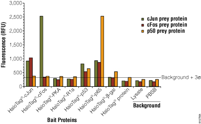 Quantitating signal from HaloLink Arrays to identify protein:protein interactions. 