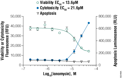 ApoTox-Glo Triplex Assay with suspension K562 cells treated with ionomycin