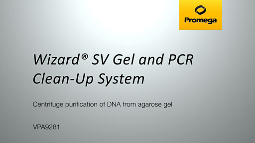 Wizard SV Gel and PCR Clean Up System Gel Spin