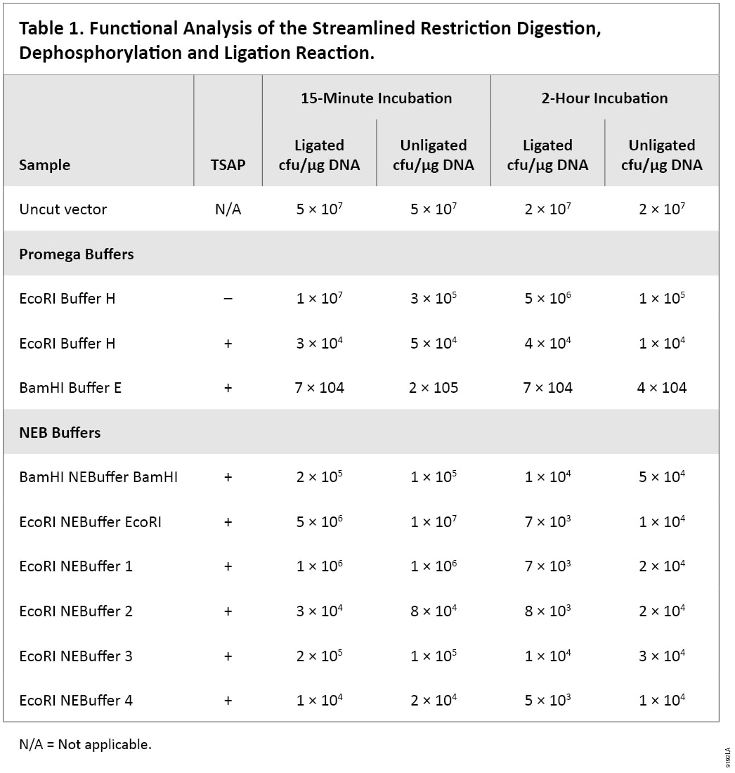 Functional Analysis of the Streamlined Restriction Digestion, Dephosphorylation and Ligation Reaction.