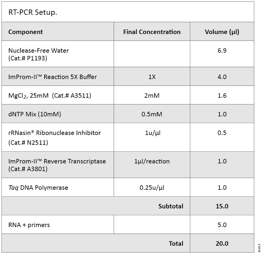 RT-PCR Setup.