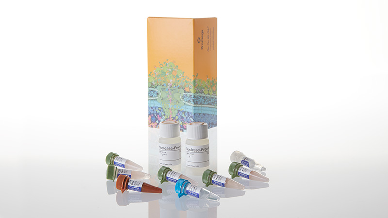 GoTaq 1-Step RT-qPCR System 5ml