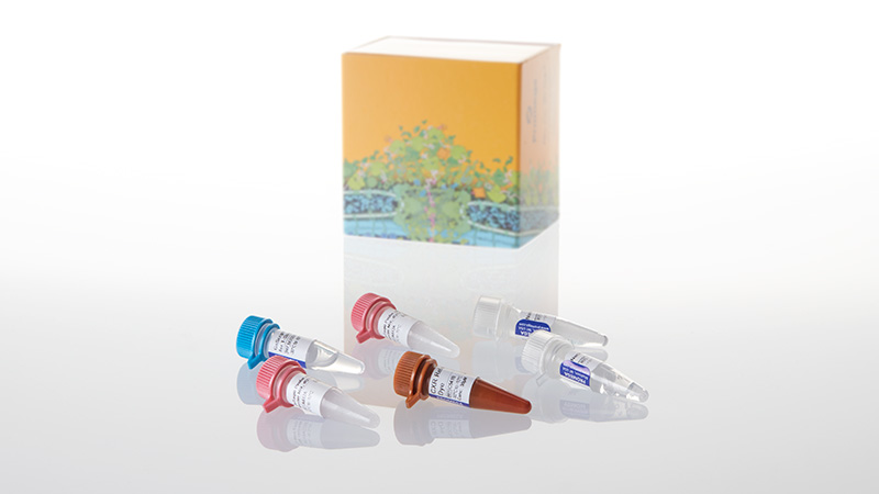 A6120_GoTaq--Probe-1-Step-RT-qPCR-System-2ml_3