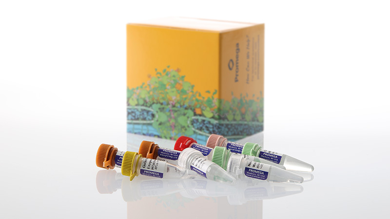 am2130gotaqenvirowastewatersarscov2systeme3