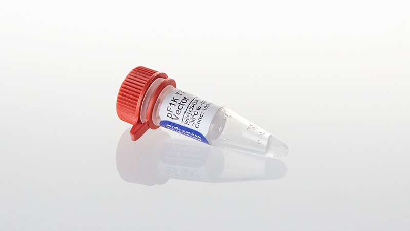 C8451_pF1K-T7-Flexi--Vector--20ug_3