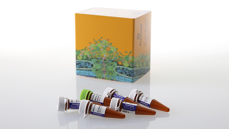 cr4500-prodye-4c-matrix-standard-3