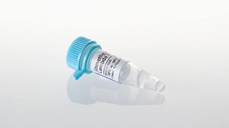 D1521_Unmethylated-Lambda-DNA--250ug_3