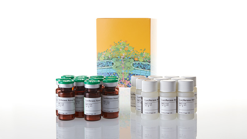 E1501_Luciferase-Assay-System--10-pack_3