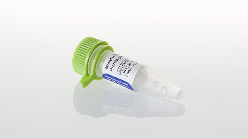 E6421_Monster-Green--Fluorescent-Protein-phM_3