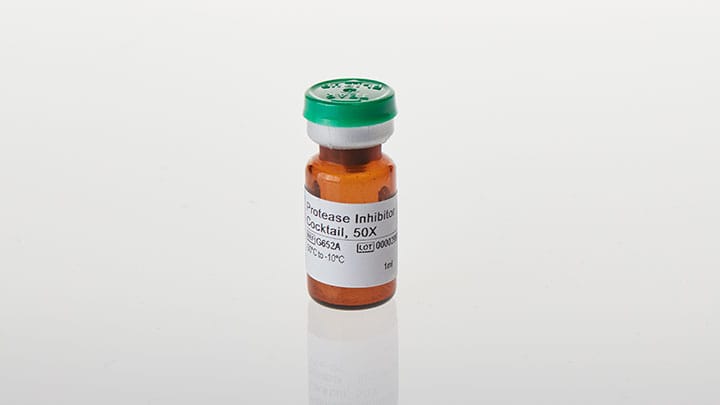 Protease