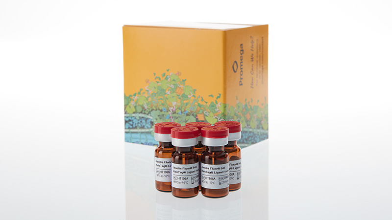 ht1060-janelia-fluor-646-halotag-ligand-3