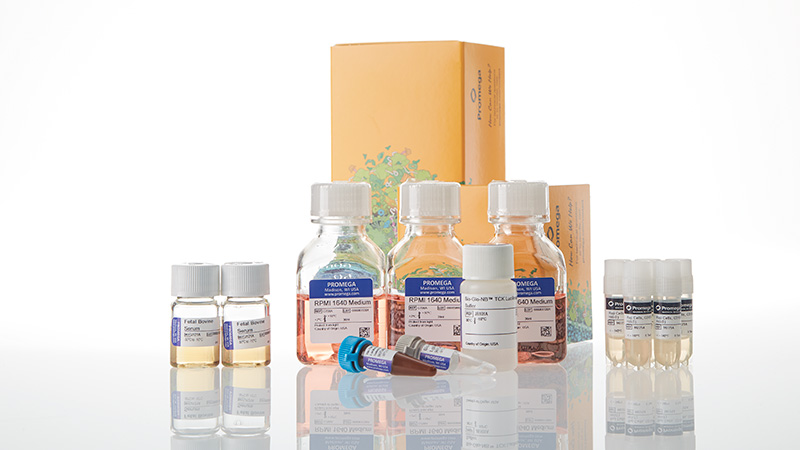 ja1225-raji-ldh-hibit-cd19-ko-tck-bioassay-5x