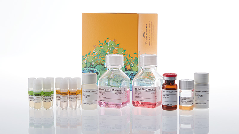 ja4805-sirpa-cd47-blockade-bioassay-kit-fc-dependent-5x-3