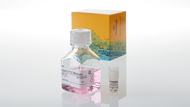 JA9441_aAPC-CHO-K1-Cells_3