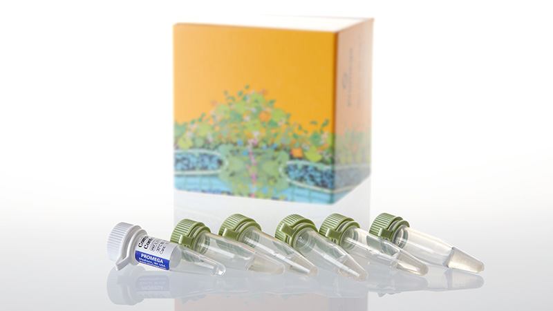 ☆　Koike様 ｜Biocell　エマルジョン PURCELL PIXCELL BIOM™ 2BILLION/mL (55ml) – Skin Cupid