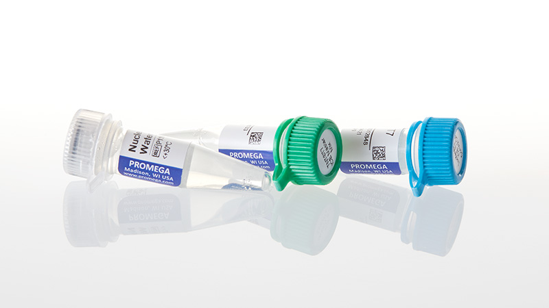 L1101_TnT T7 Insect Cell Extract Protein Expression System_3