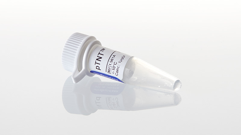 L5610_pTNT--Vector--20ug_3
