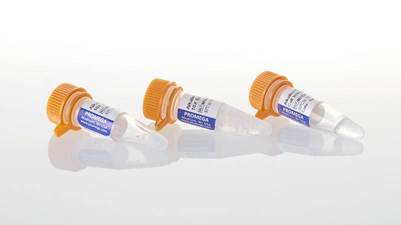 M1821_Alkaline-Phosphatase-Calf-Intestinal_3