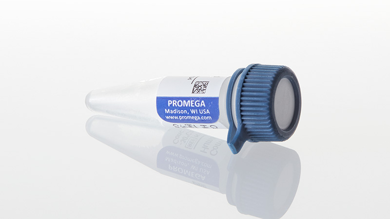 N1221_Converted-Methylated-Human-Control--1ug_3