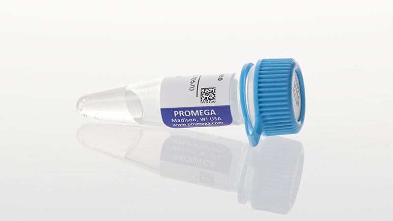 N1341_pFC32K-Nluc-CMV-neo-Flexi-Vector_3