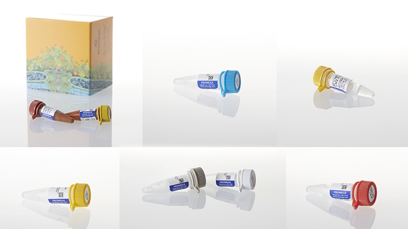 N1821_Nano-Glo-Dual-Luciferase-Reporter-Assay