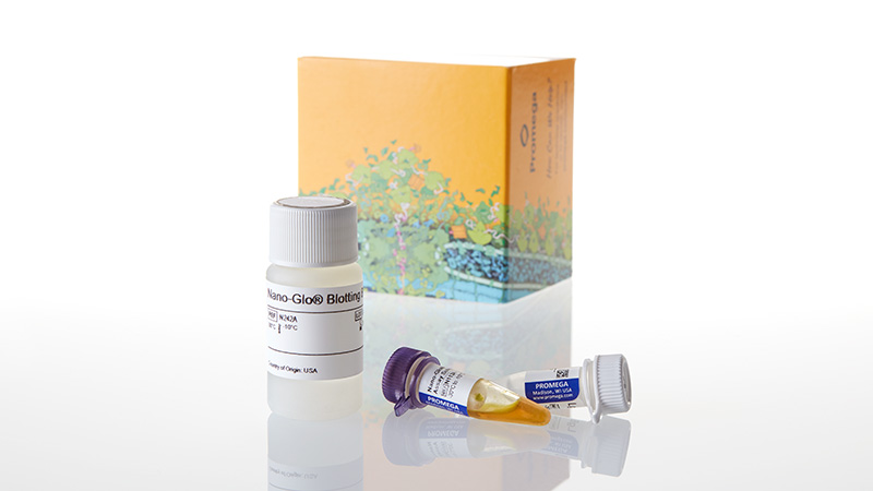 N2410_Nano-Glo--HiBiT-Blotting-System--100ml_3