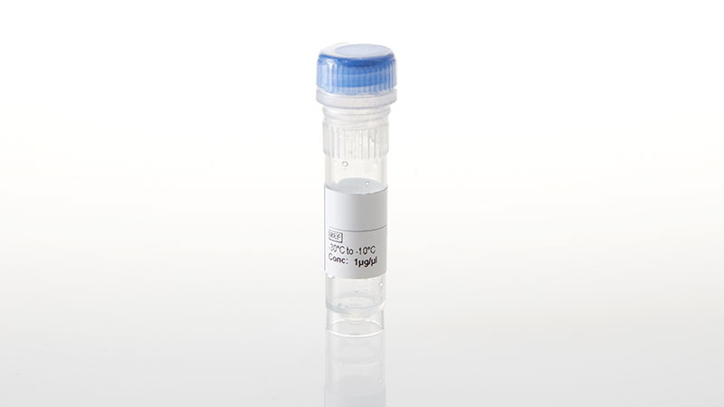 NV4381_TEK-R849W--NanoLuc-