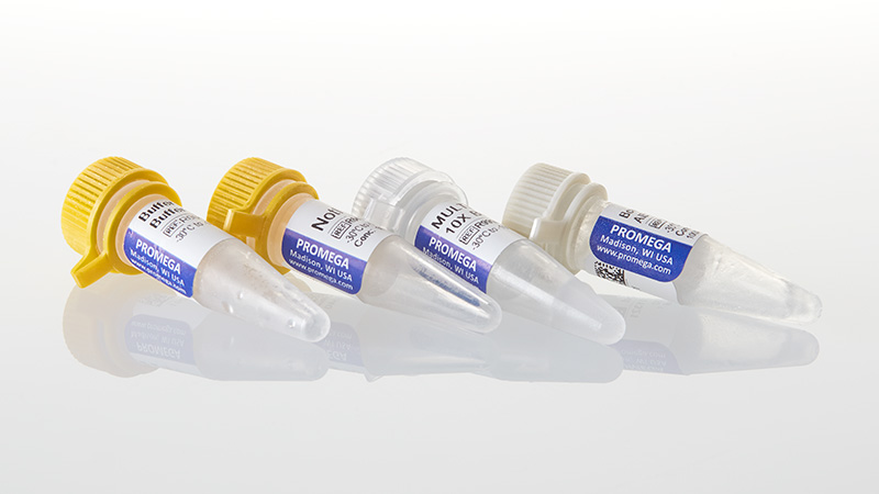 R6431_NotI--GQ--200u_3