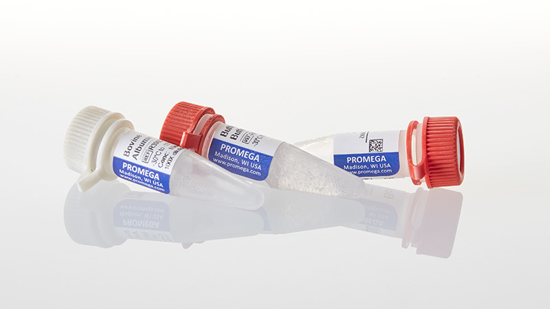 R6651_BclI--1-000u_3