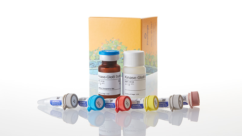 V1361_PDE-Glo--Phosphodiesterase-Assay-1000