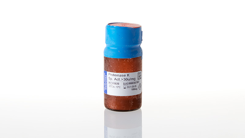 V3021_Proteinase-K--100mg_3