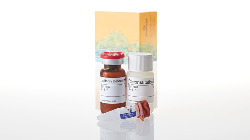 V8781_P450-Glo--CYP2C8-Assay--10ml_3