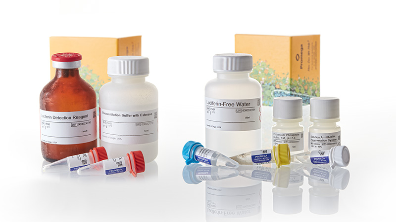 V9880_P450-Glo-CYP2C19