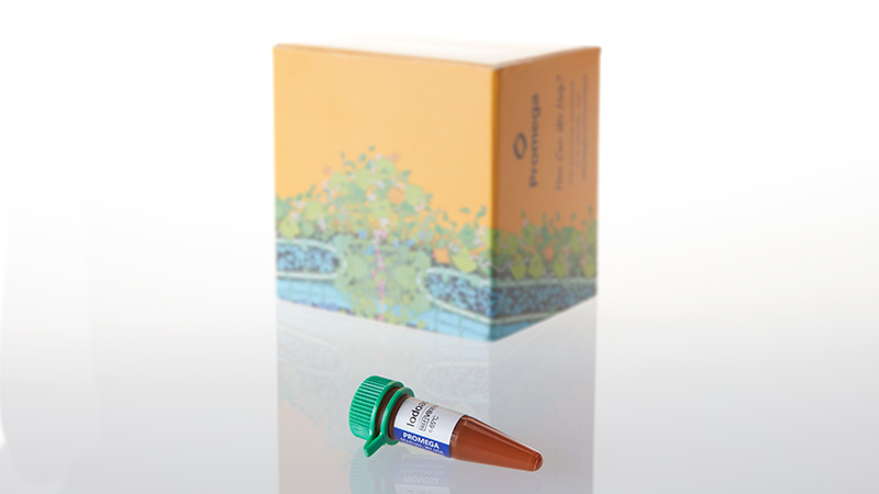 VB1010_Iodoacetamide