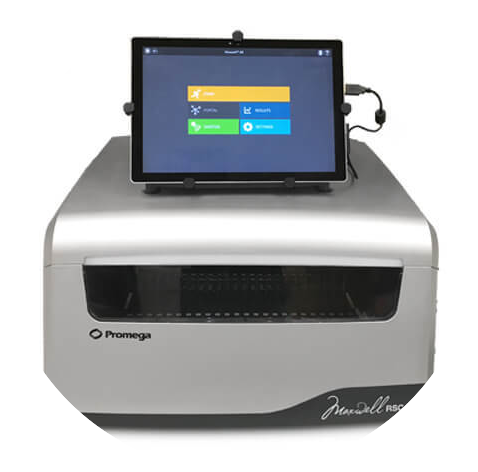 it-maxwell-paid-campaign-rsc48