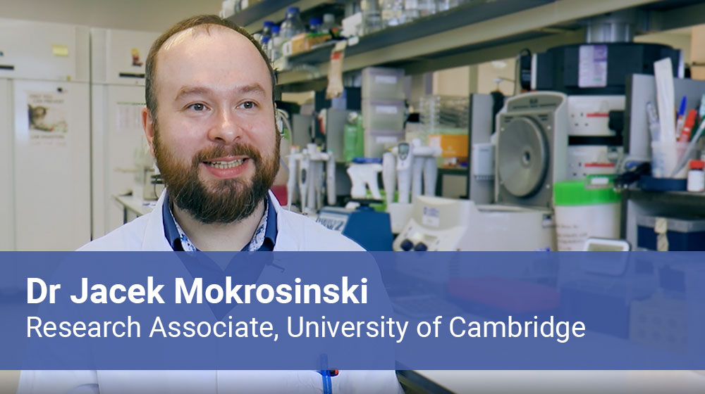 dr-jacek-mokrosinski