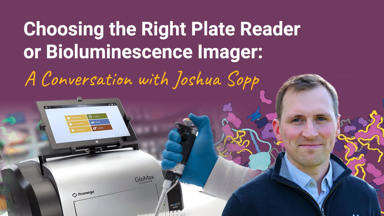 josh-glomax-blog