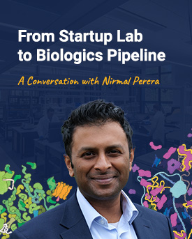 nirmal-blog-home